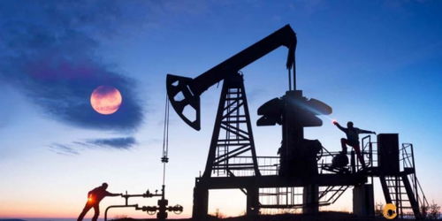 歐佩克維持產(chǎn)量不變疊加美聯(lián)儲(chǔ)風(fēng)險(xiǎn)預(yù)警，國際石油市場面臨復(fù)雜考驗(yàn)